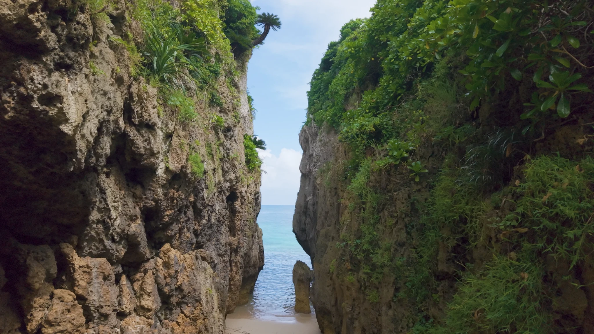 Lush green nature and dramatic rocks
