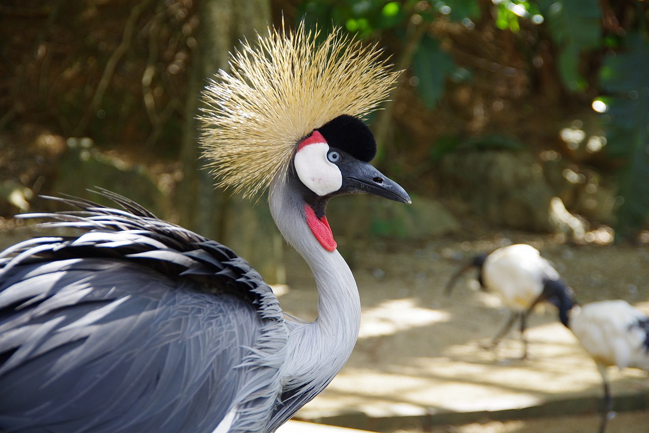 네오파크 열대 식물원