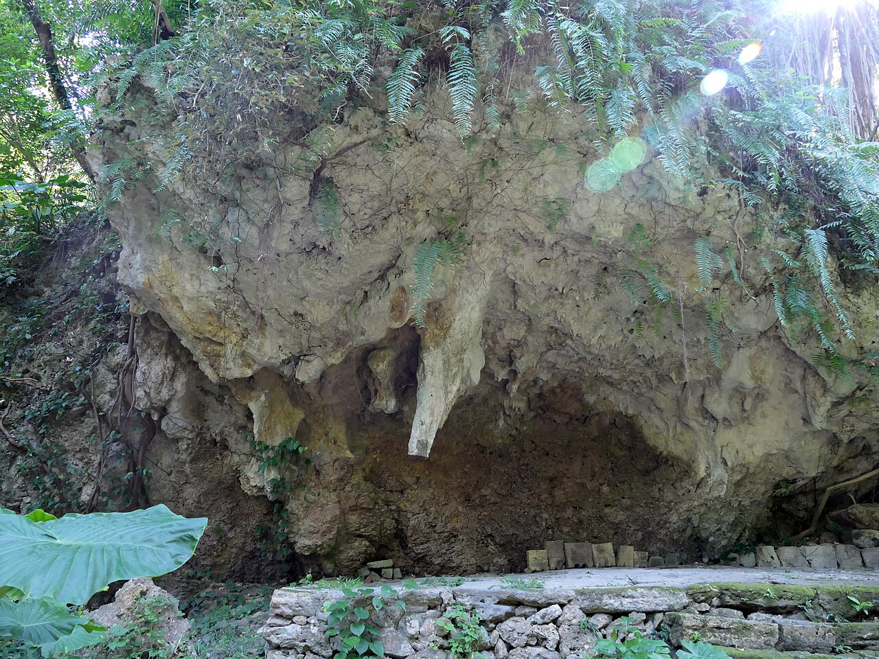 Sacred forest pathway leading to the Yuinchi worship point at Sefa Utaki