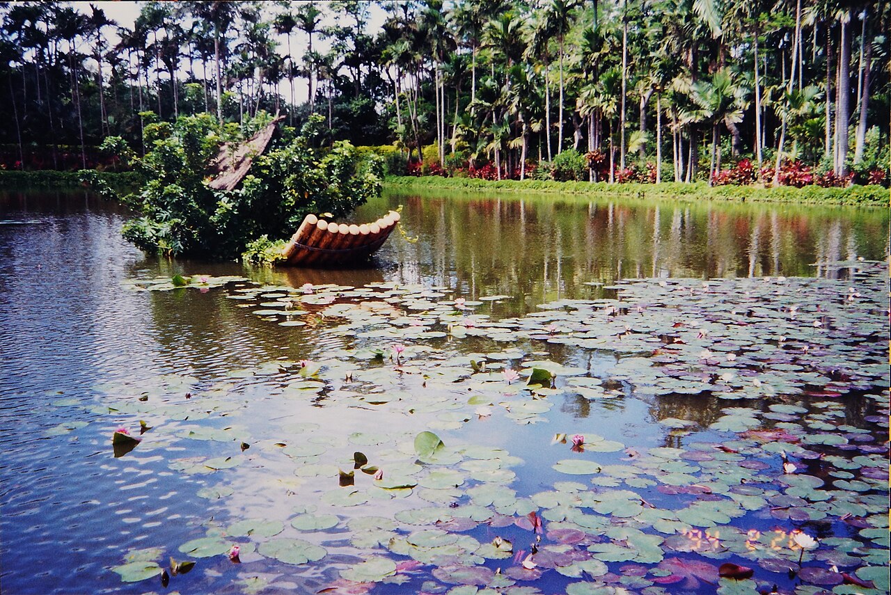 동남식물낙원 야경