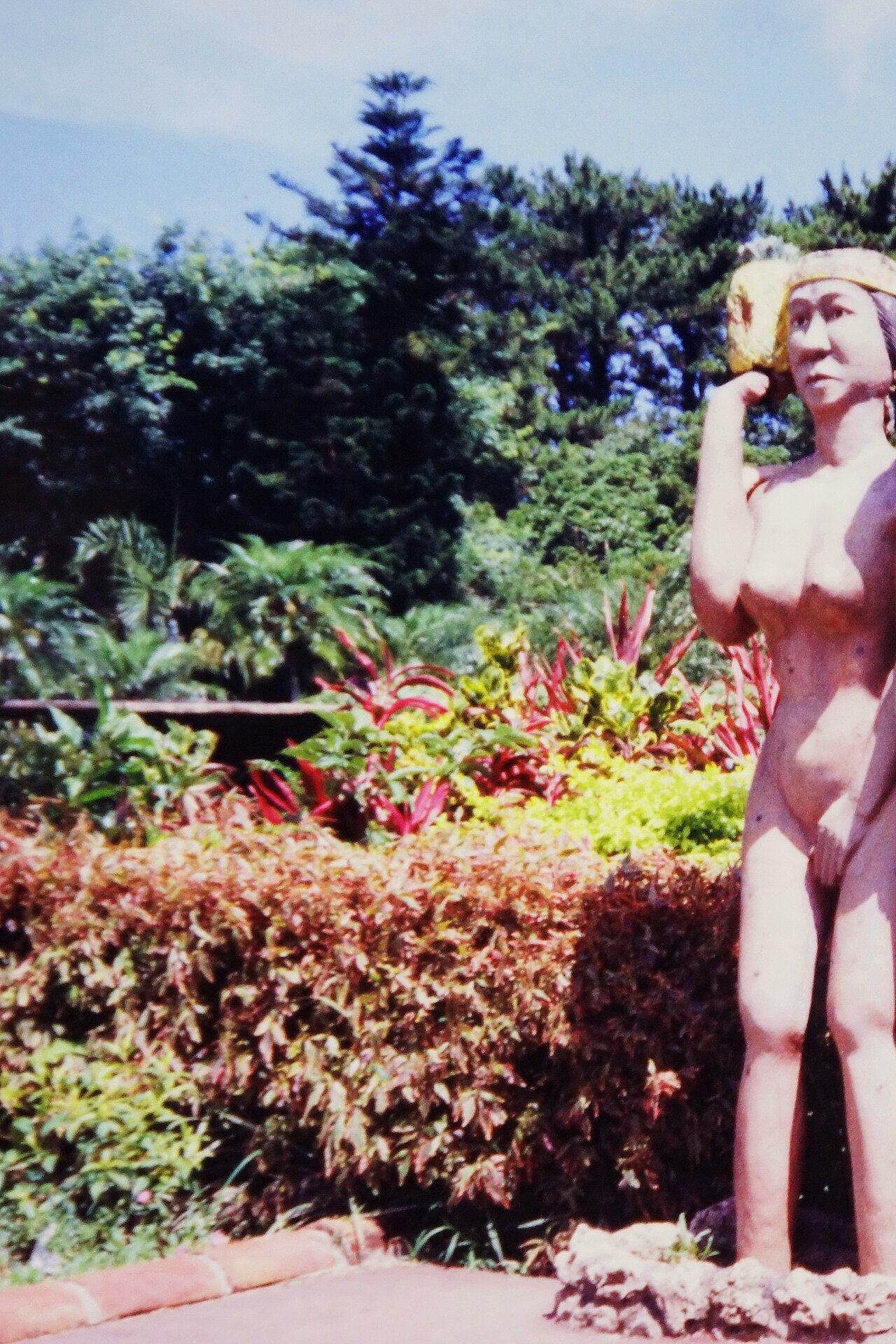 동남식물낙원 식물