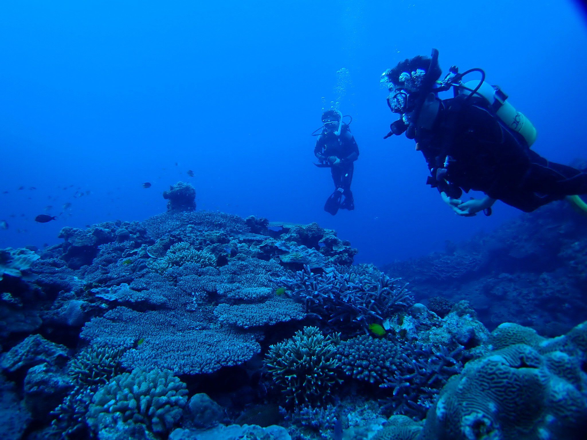 青の洞窟ダイビング体験 1