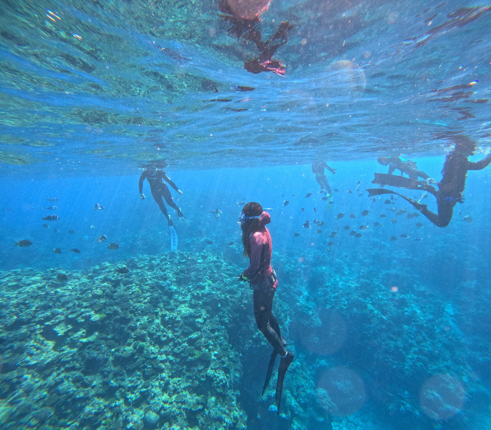 フリーダイビング体験 1