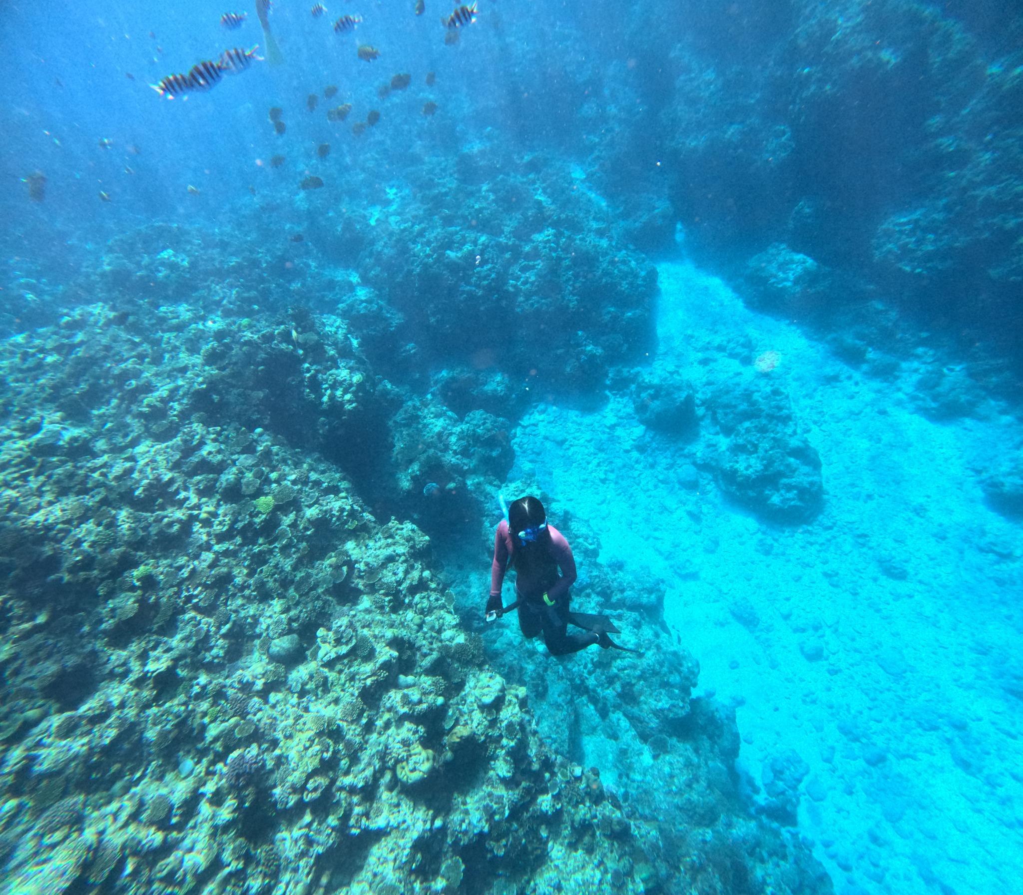 フリーダイビング体験 2