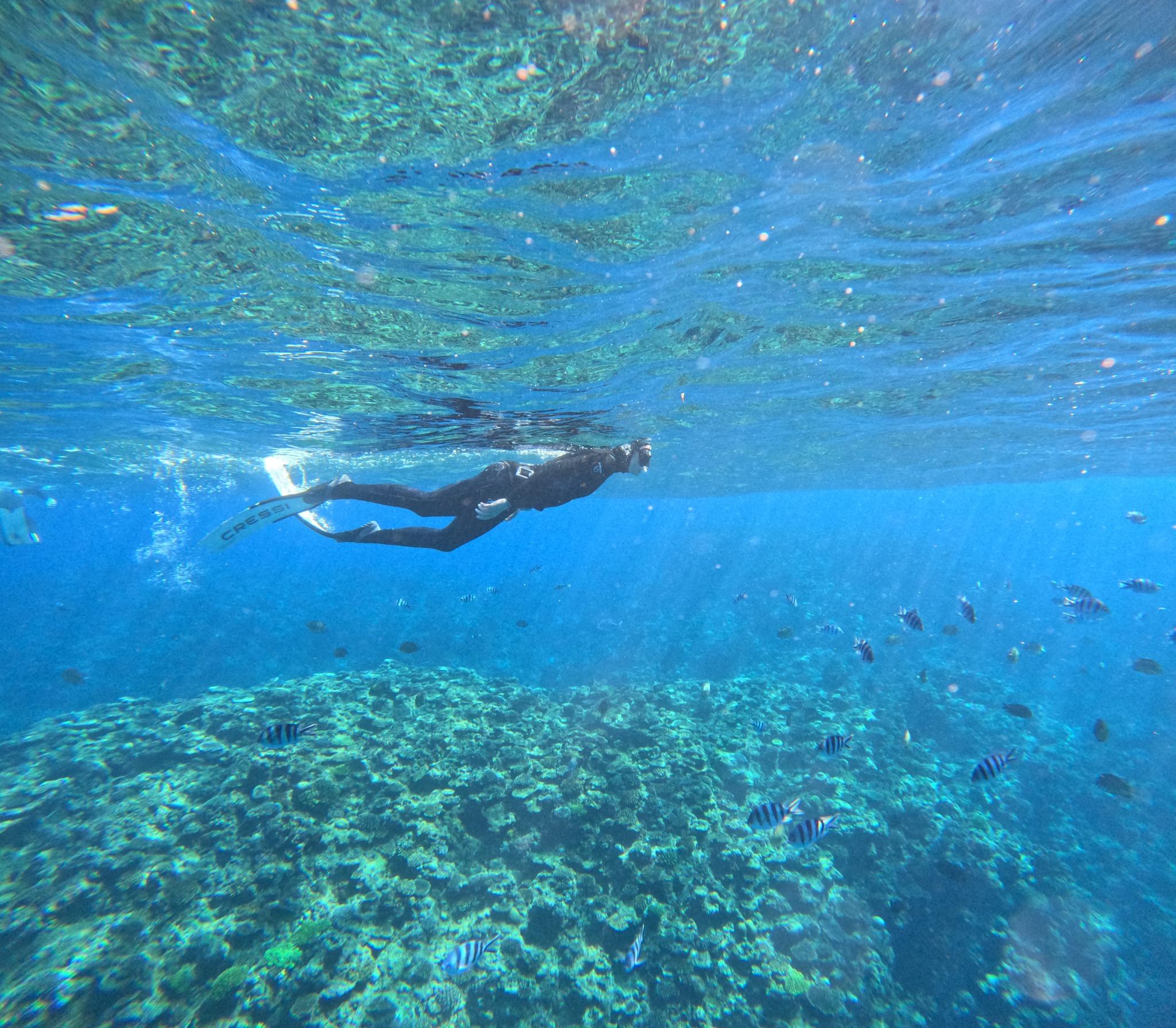 フリーダイビング体験 3