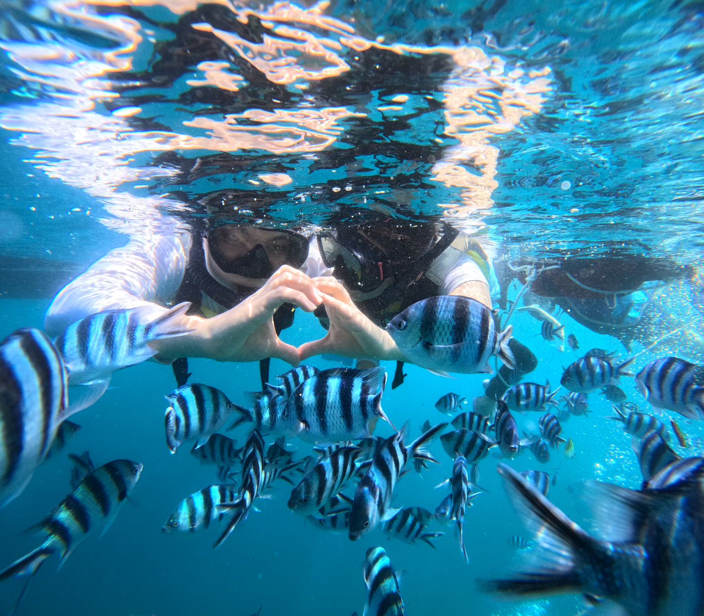 푸른동굴 스노클링 5