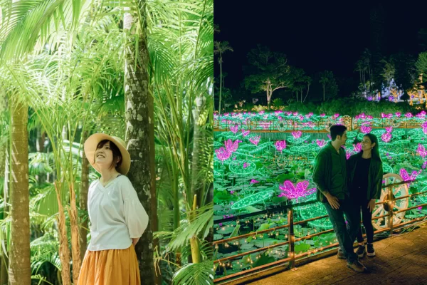 【나이트 즐길거리 2패스 포함】 1DAY 티켓