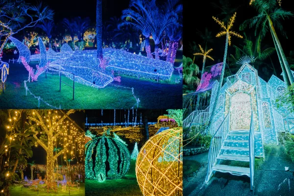 【나이트 즐길거리 2패스 포함】 야간 입장